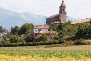 Desde Madrid: Segovia y Ávila en grupo pequeño: Alcázar y murallas