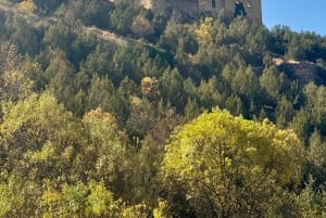 Desde Madrid: Segovia y Ávila en grupo pequeño: Alcázar y murallas