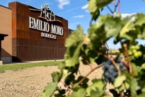 Desde Madrid: Segovia y Ávila en grupo pequeño: Alcázar y murallas