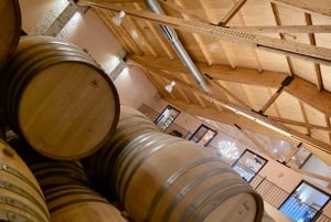 Desde Madrid: Segovia y Ávila en grupo pequeño: Alcázar y murallas