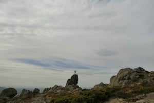 From Madrid: Sierra de Guadarrama Hiking Day Trip