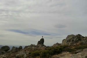 マドリード発：グアダラマ山脈ハイキング日帰り旅行