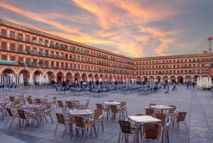 From Madrid: The Best of Córdoba in One Day by Train