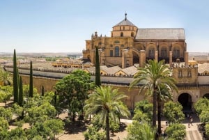 Da Madrid: il meglio di Córdoba in un giorno in treno