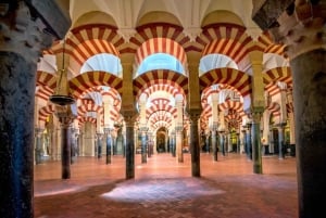 From Madrid: Córdoba Day Tour by Train