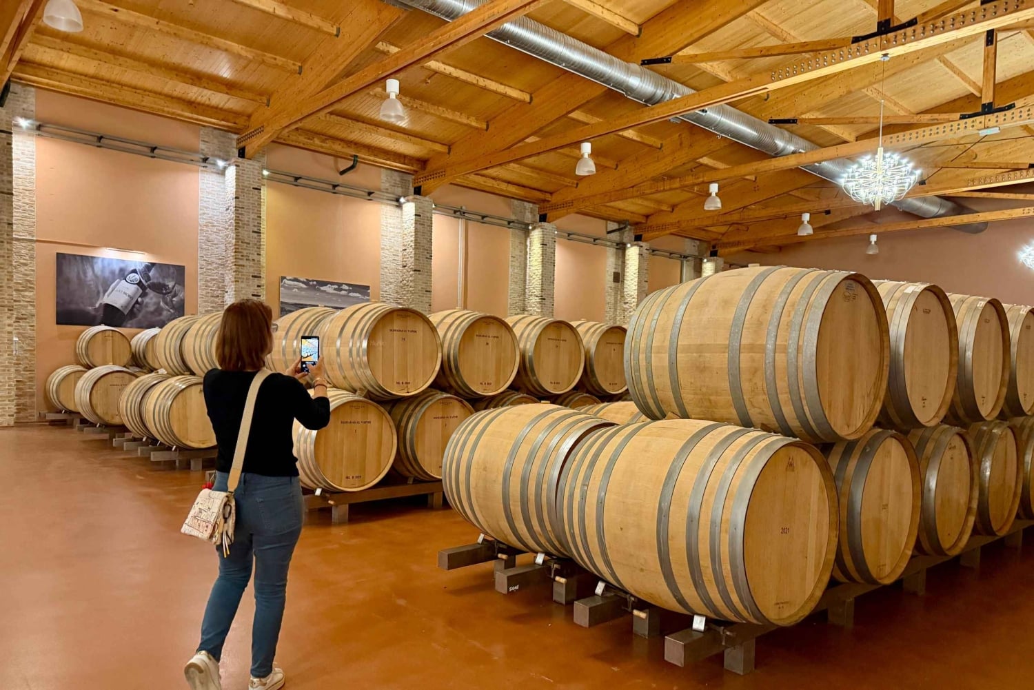 De Madrid a Castela e Leão: vinhas e cidades escondidas