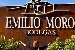 De Madrid a Castela e Leão: vinhas e cidades escondidas