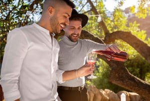 De Madrid a Castela e Leão: vinhas e cidades escondidas