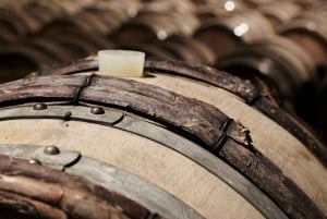 De Madrid a Castela e Leão: vinhas e cidades escondidas