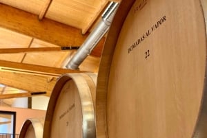 De Madrid a Castela e Leão: vinhas e cidades escondidas