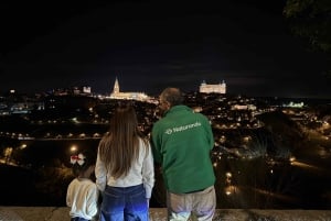 FROM MADRID: Toledo Private tour