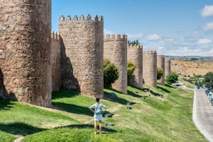 Madrid: Toledo and Segovia Guided Tour with Avila Option