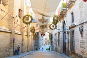 Madrid: Toledo y Segovia Visita guiada de día completo con Alcázar