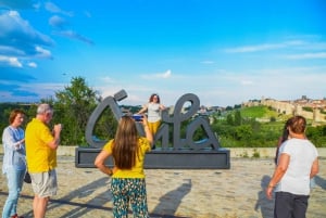 Madrid: Toledo y Segovia Visita guiada de día completo con Alcázar
