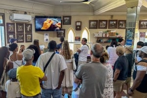 Madrid: Toledo y Segovia Visita guiada de día completo con Alcázar