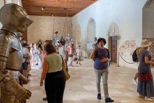 Madrid: Toledo y Segovia Visita guiada de día completo con Alcázar