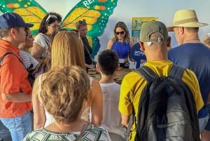 Madrid: Toledo y Segovia Visita guiada de día completo con Alcázar