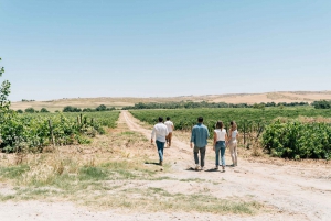 Fra Madrid: Tur til tradisjonelle landsbyer og vingårder med smaksprøver