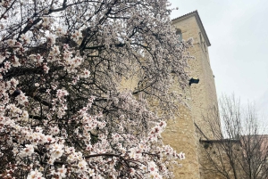 De Madrid: Viagem a Cuenca e aos campos de lavanda de Brihuega
