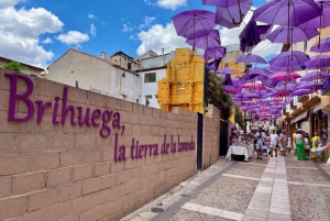 De Madrid: Viagem a Cuenca e aos campos de lavanda de Brihuega