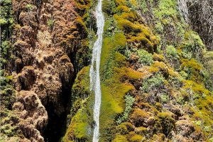 De Madrid: Viagem a Cuenca e aos campos de lavanda de Brihuega