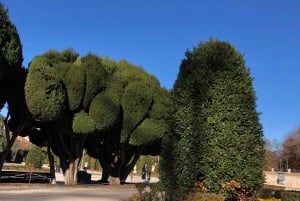Madrid: Prado Avenue og Retiro Park Guidet vandretur