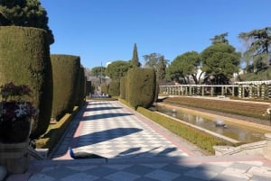 Madrid: Prado Avenue och Retiro Park Guidad vandringstur