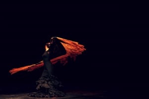 Madrid: Flamenco Show & ateria