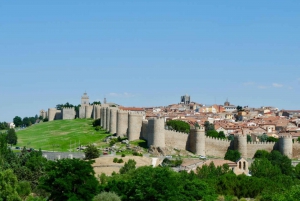 Depuis Madrid : Visite d'une jounée de Tolède et d'Avila au Moyen Âge