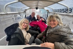 Guided Tour in Tuk Tuk around Madrid