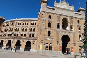 Guided tour of Madrid's 4 most popular neighborhoods