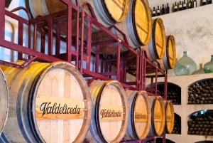 GUIDED VISIT TO BODEGA DEL NERO WINERY