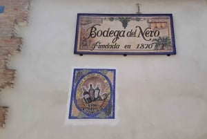 GUIDED VISIT TO BODEGA DEL NERO WINERY