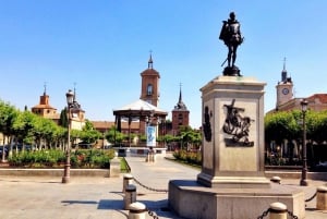 Half-Day Trip from Madrid: Alcalá de Henares & Winery Visit