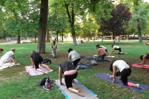 Hatha Yoga i El Retiro Park