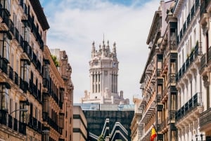Highlights of Madrid: Walking Tour with Private Guide
