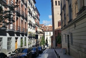 Highlights of Madrid: Walking Tour with Private Guide