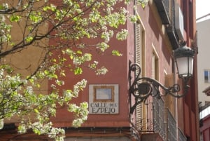 Les points forts de Madrid : Visite guidée avec guide privé