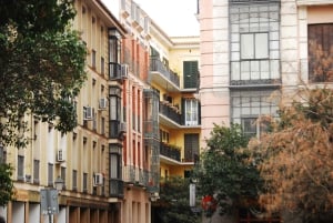 Les points forts de Madrid : Visite guidée avec guide privé