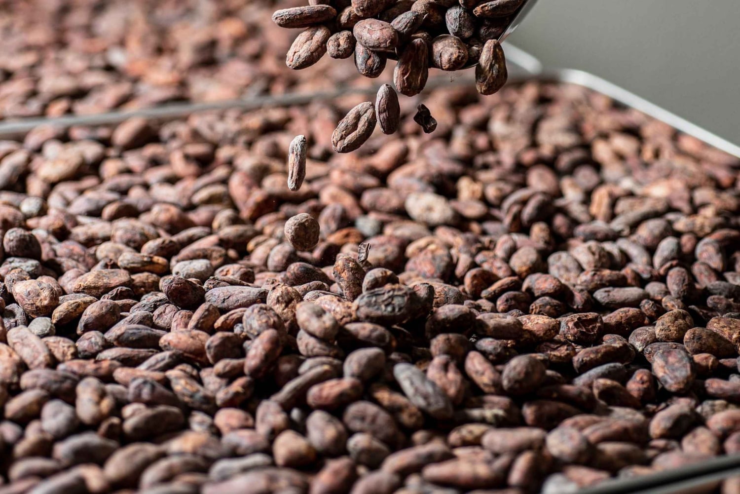 KAIACAO Bean to Bar and Design your own chocolate experience