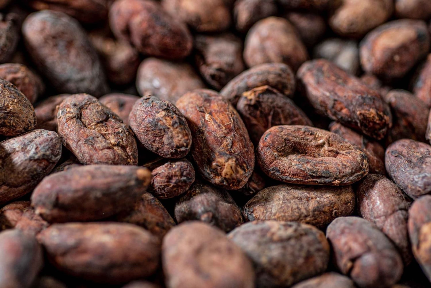 KAIACAO Bean to Bar and Design your own chocolate experience