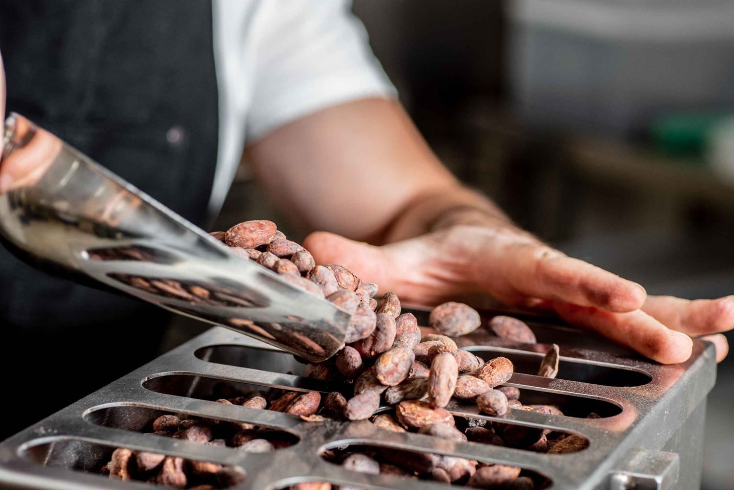 KAIACAO Bean to Bar and Design your own chocolate experience