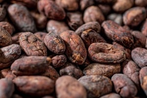 KAIACAO Bean to Bar and Design your own chocolate experience