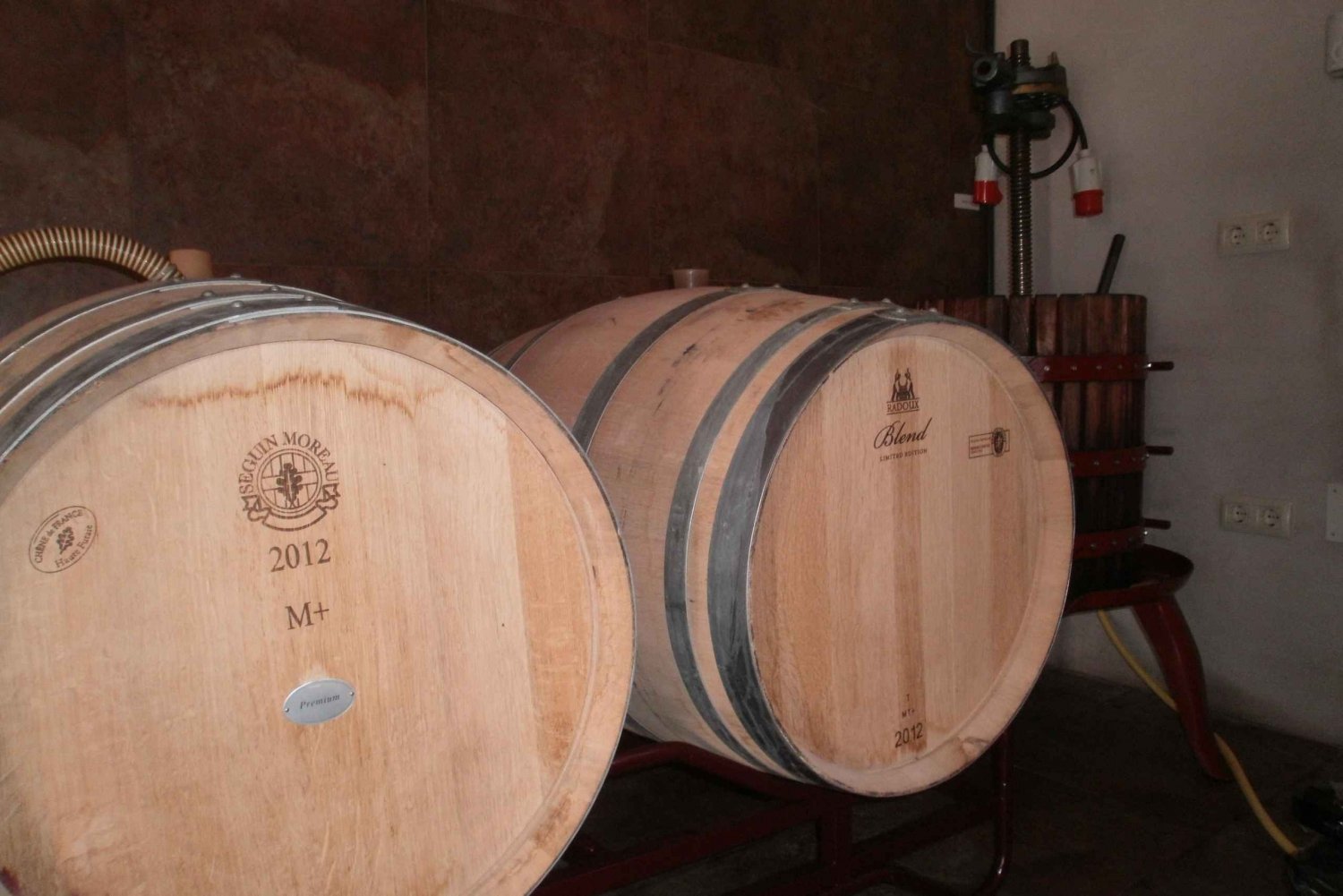 Segovia: Vingårdstur med vinprovning
