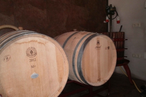 Segovia: Wijnmakerij Tour met Wijnproeverij