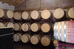 Segowia: Wycieczka do winiarni z degustacją wina