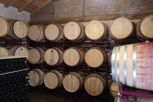 Segovia: Bodega-Tour mit Weinverkostung