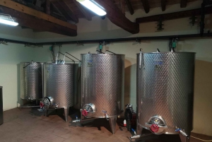 Segovia: Wijnmakerij Tour met Wijnproeverij