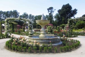 Madrid : visite guidée de 1,5 h au parc du Retiro