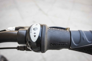 Madryt: 1-dniowa wypożyczalnia rowerów miejskich